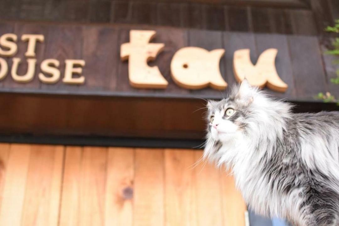 飛騨高山 Noie Tau Hotel Exterior photo